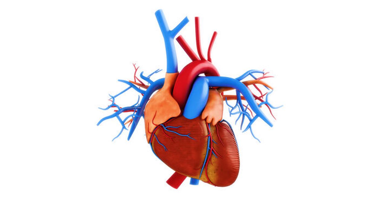 Çabuk yorulma ve nefes darlığı kalp kapak hastalığı belirtisi olabilir