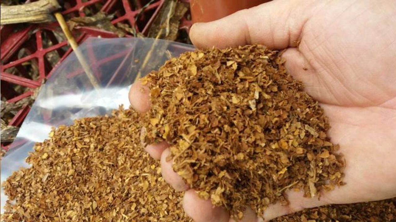 Tütün endüstrisi düşmanımız mı? Başımızın tacı mı?