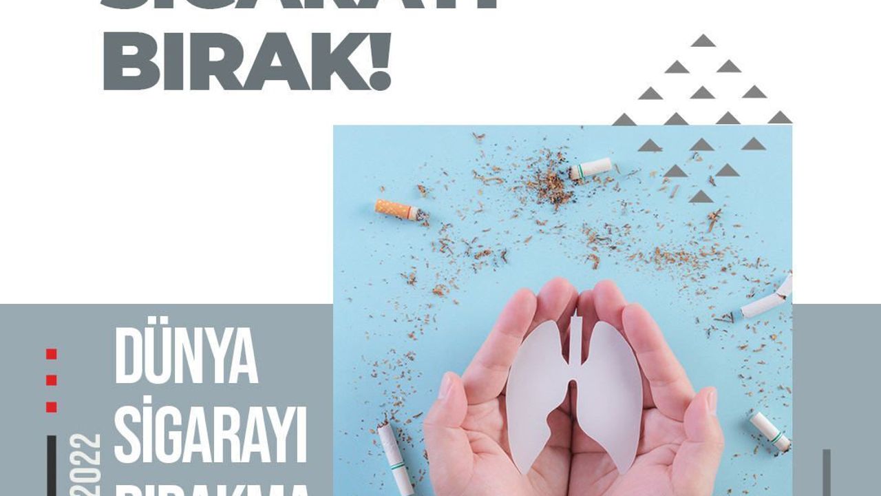 Her yıl 8 milyon insan sigara nedeniyle ölüyor