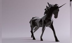 Unicorn Startup'ları: Anlamı, Tarihçesi, Örnekleri