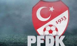 PFDK, 1024 futbolcudan 282'sine verilen cezaları açıkladı