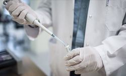 Türkiye'de HIV vakaları son 10 yılda 12 kat arttı: 'Sessiz pandemi yaşanıyor'