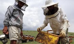 Arıcılıkta 'standart' dönemi başlıyor: Mesleki yeterlilik şartı geliyor