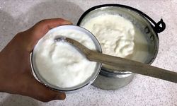 Dört yoğurt markasında tahşiş tespit edildi