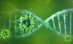 Hindistan'da ortaya çıktı: Nipah salgını nedir?