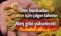 Altında Yeni Zirve Beklentisi! Uzun Vadede 4.500 Dolar