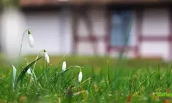 Cemre Ne Zaman Düşecek? 2026 Cemre Tarihleri