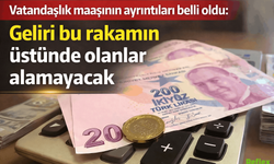 Gelir Tamamlayıcı Aile Destek Programı İçin Gelir Şartı Netleşti: Başvurular e-Devlet Üzerinden