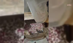 İzmir'de uyuşturucu operasyonu: 104 bin 40 sentetik ecza ele geçirildi