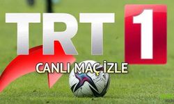TRT 1 Sinyal Yok Sorunu Nasıl Çözülür? Dünya Kupası Maçları İzle