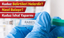 Kuduz Belirtileri Nelerdir? Nasıl Bulaşır? Kuduz İshal Yaparmı