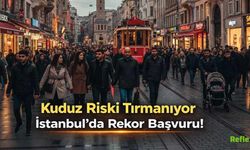 Kuduz Riski Tırmanıyor İstanbul’da Rekor Başvuru