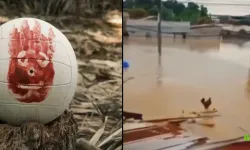 Wilson Tavuk Olayı Nedir? Gerçek Mi?