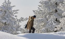 ABD'de Çekirdek PCE Enflasyonu ve Kişisel Harcamalar Beklentileri Karşıladı
