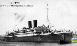 Bozkurt Lotus Olayı Nedir? Kısaca