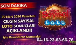 30 Mart 2026 Pazartesi Çılgın Sayısal Loto Sonuçları Açıklandı! İşte Kazandıran Numaralar: 817.7 Milyon Kim Kazandı