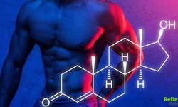 Erkeklerde Testosteron Düşüklüğünün Sebepleri Nelerdir