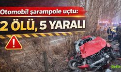 Erzurum’da Şarampole Uçan Otomobilde 2 Kişi Hayatını Kaybetti, 5 Kişi Yaralandı