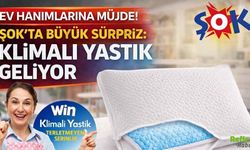 Ev Hanımlarına Müjde! ŞOK’ta Büyük Sürpriz: Klimalı Yastık Geliyor