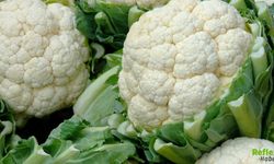 Karnabaharın Gücü Yeniden Keşfediliyor: Sağlıklı Ama Çoğu Zaman Yanlış Pişiriliyor