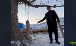 Kayseri’de Dehşet Köpeğini Ağaca Asarak Öldürdü Tepkiler Çığ Gibi Büyüdü