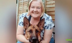 Köpeği Kanseri Erken Fark Etti Hayatını Kurtardı