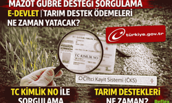 Mazot Gübre Desteği Ödemeleri Ne Zaman Yatacak? e Devlet Sorgulama Ekranı