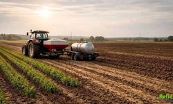 Mazot Ve Gübre Desteği Ödemeleri 2026 Yattı Mı? ÇKS Destek Sorgulama Ekranı