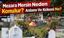 Mezara Mersin Neden Konulur? Anlamı Ve Kökeni Ne? 19 Mart 2026