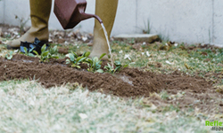 Mezara Su Dökmenin Sebebi Nedir
