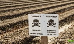 Pestisit Zehirlenmesi Belirtileri Nelerdir İşte Kritik Uyarılar