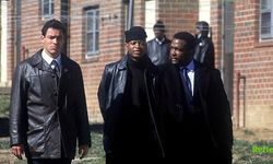 The Wire Hangi Platformda? Konusu Nedir?