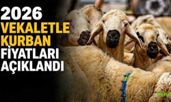 2026 Vekaletle Kurban Fiyatları Açıklandı