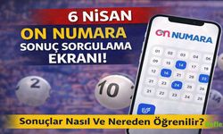 6 Nisan On Numara Sonuçları Sorgulama Ekranı!  Sonuçlar Nasıl Ve Nereden Öğrenilir?