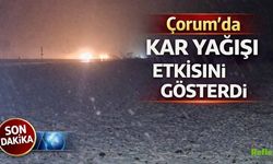 Nisan Ayında Çorum’da Kar Yağışı Etkisini Gösterdi