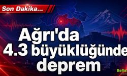 Ağrı Patnos’ta 4,3 Büyüklüğünde Deprem