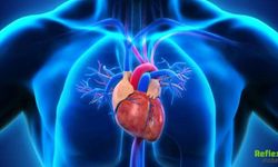 Aort Damarı Yırtılması Neden Olur? Nasıl Sakatlar?