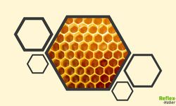 Arılar Peteklerini Neden Altıgen Şeklinde Yaparlar?