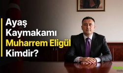 Ayaş Kaymakamı Muharrem Eligül Kimdir?