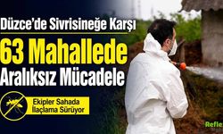 Düzce’de Sivrisineğe Karşı 63 Mahallede Aralıksız Mücadele