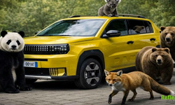 Fiat Koala İsmini Tescilledi Yeni Model Yolda