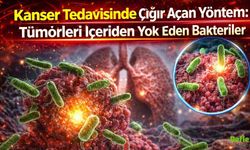 Kanser Tedavisinde Çığır Açan Yöntem: Tümörleri İçeriden Yok Eden Bakteriler