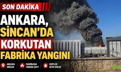 Son Dakika: Ankara Sincan'da Fabrika Yangını
