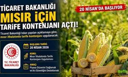 Ticaret Bakanlığı Mısır İçin Tarife Kontenjanı Açtı: 20 Nisan’da Başlıyor
