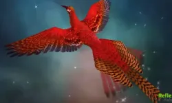 Anka Kuşu Gerçek Mi? Türkiye'de Var Mı?