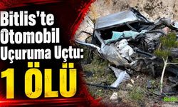 Bitlis'te Otomobil Uçuruma Uçtu: 1 Ölü