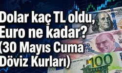 Dolar kaç TL oldu, Euro ne kadar? (30 Mayıs Cuma Döviz Kurları)
