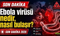 Ebola virüsü nedir, nasıl bulaşır? Son Dakika 2026 Salgın Detayları