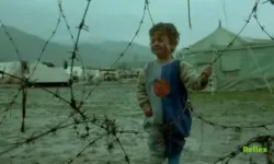 Kaplumbağalar Da Uçar Türkçe Dublaj İzle - Nereden İzlenir?