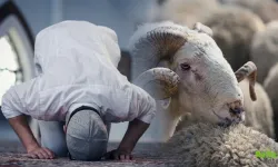 Kurban Kesildikten Sonra Kılınan Namaz Nasıl Kılınır?